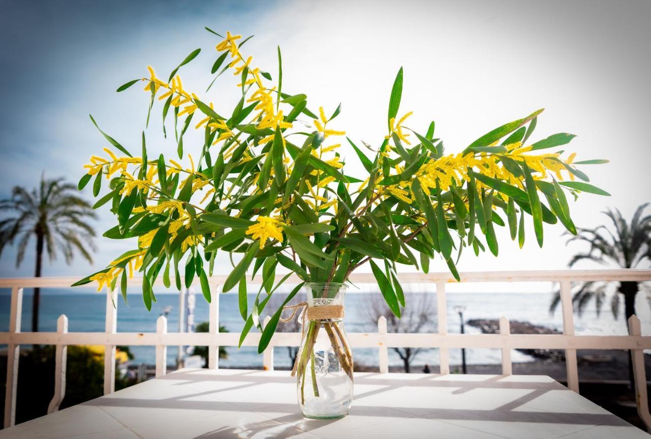 Hotel Et Appartements Reine D'Azur Roquebrune-Cap-Martin Luaran gambar