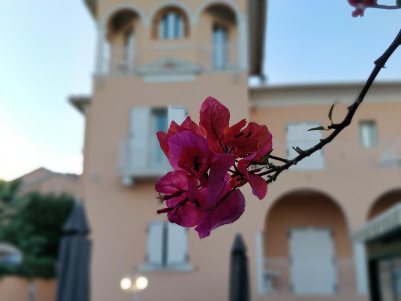 Hotel Et Appartements Reine D'Azur Roquebrune-Cap-Martin Luaran gambar
